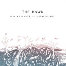 TheHawk Vinyl examplefile_web2